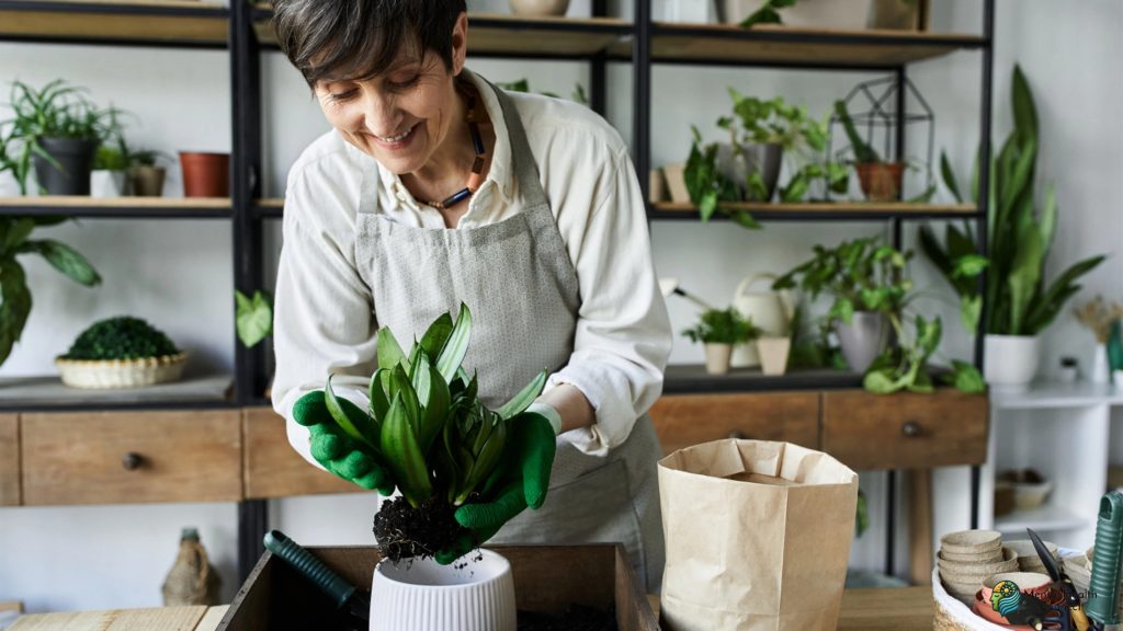 Creating a Therapeutic Environment